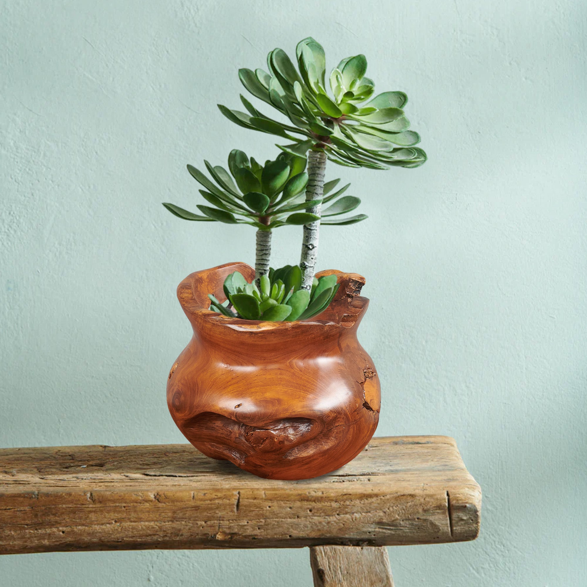 Cowak Handcrafted Teak Vase Gentong (11.8" x 11.8" x 9.8")