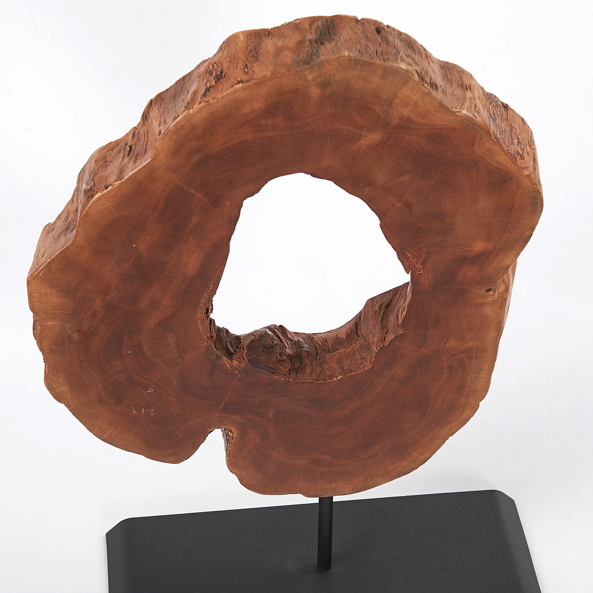 Lychee Wood Art Sculpture (13.8" x 17.7" x 2")