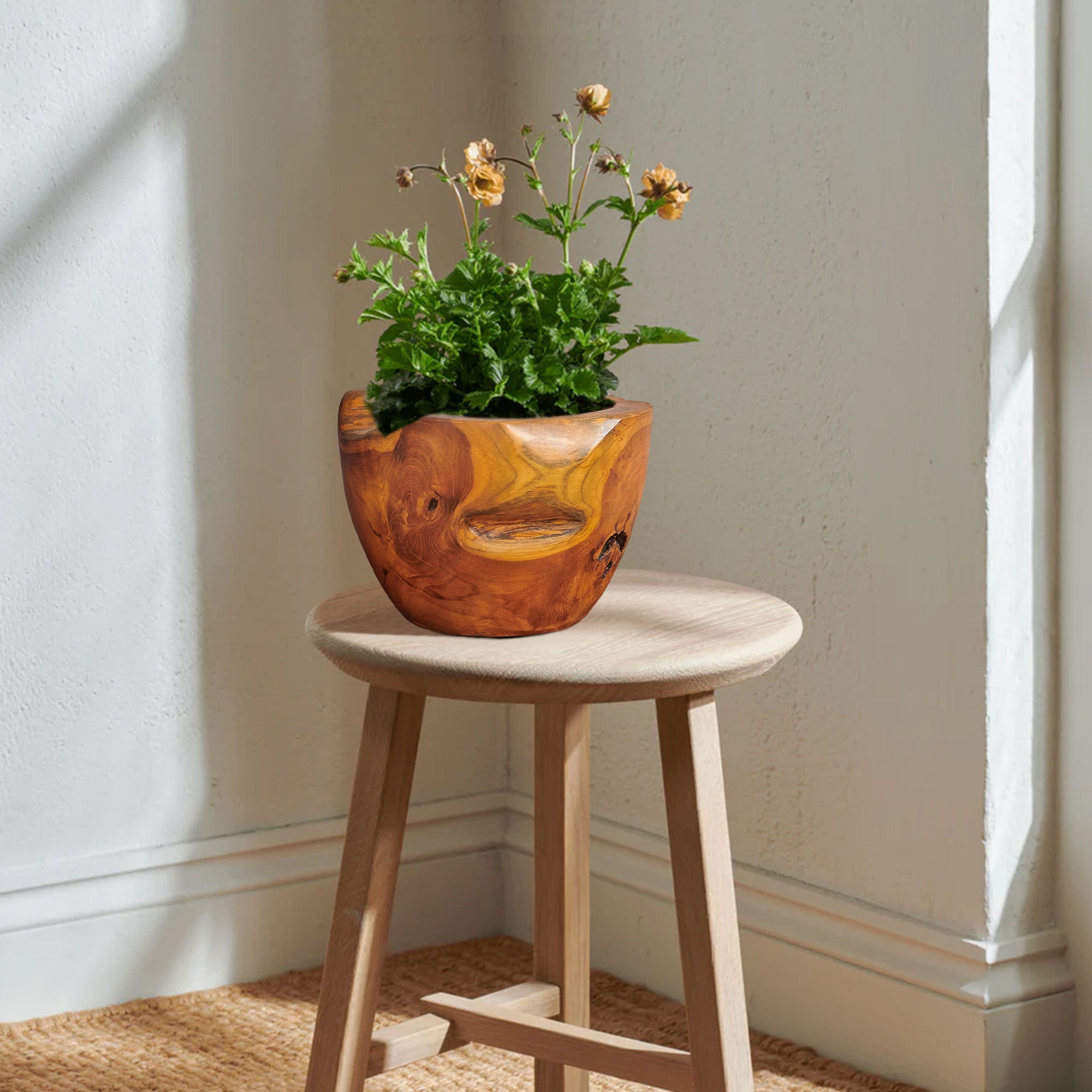 Mangkok Tebal Handcrafted Teak Bowl (11.7" x 11.7" x 8.3")