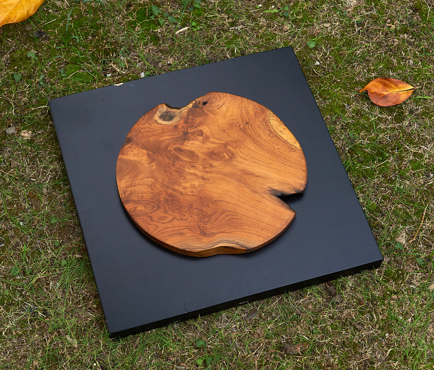 Round Insert Abstract Teak Wall Art(17" x 17" x 1.6")