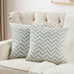 Arusha Jacquard Chenille 2 Piece Decorative Pillow Covers