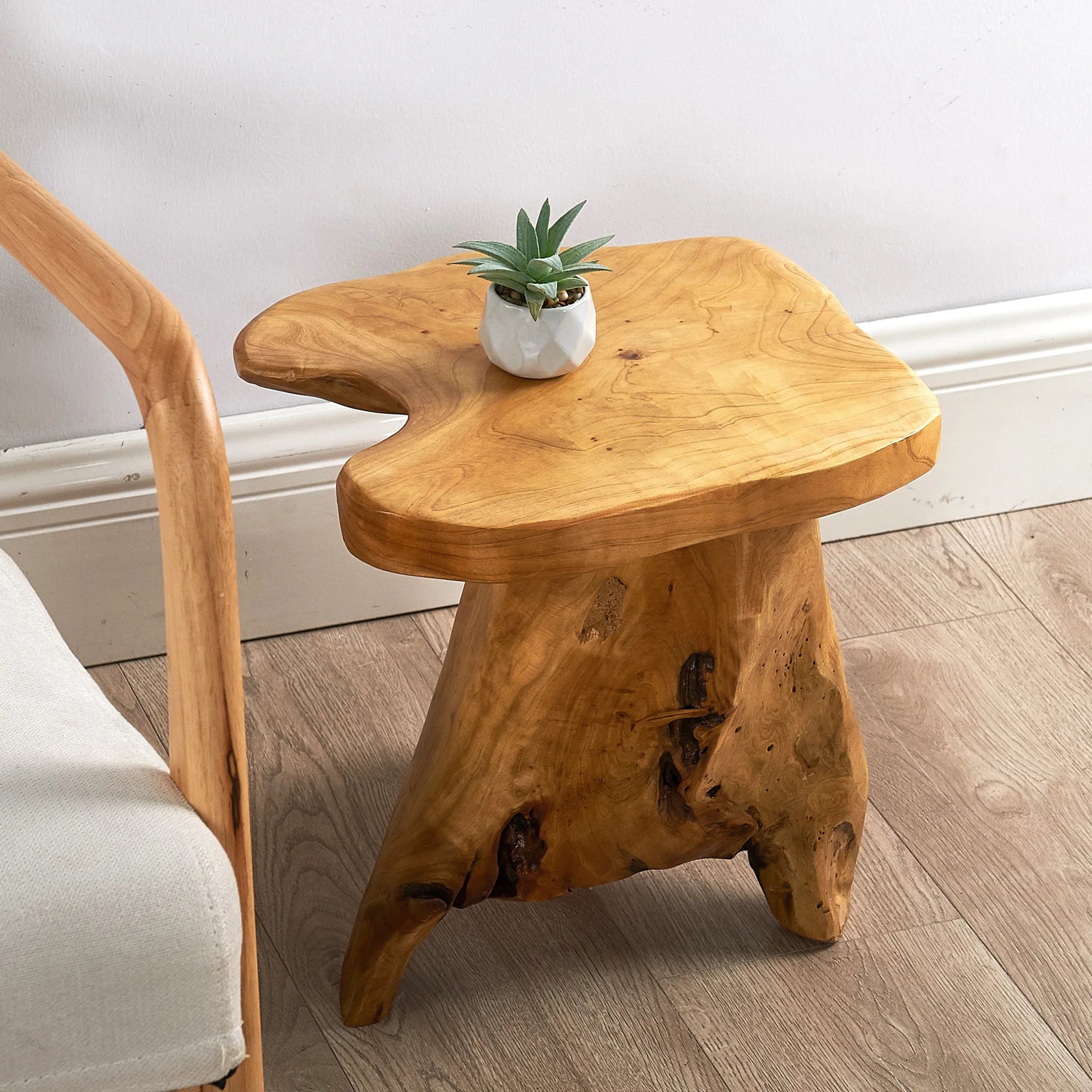 Cedar Wood Mushroom Stand (12" x 15" x 13.5")