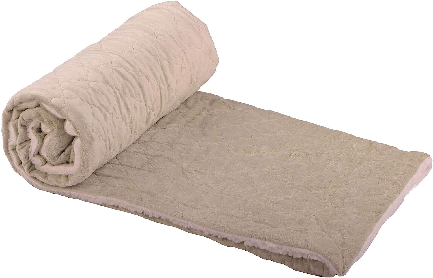 Aurora Embroidery Throw Blanket - Light Green (50"x60")