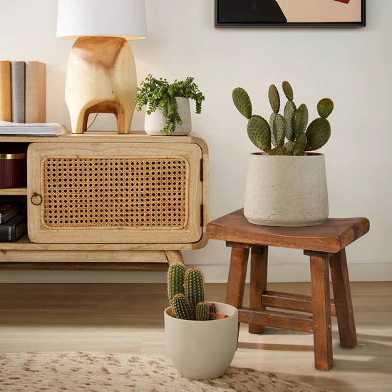 7 Ways to Showcase Your Plants and Decorate Your Space | Home Soft Things