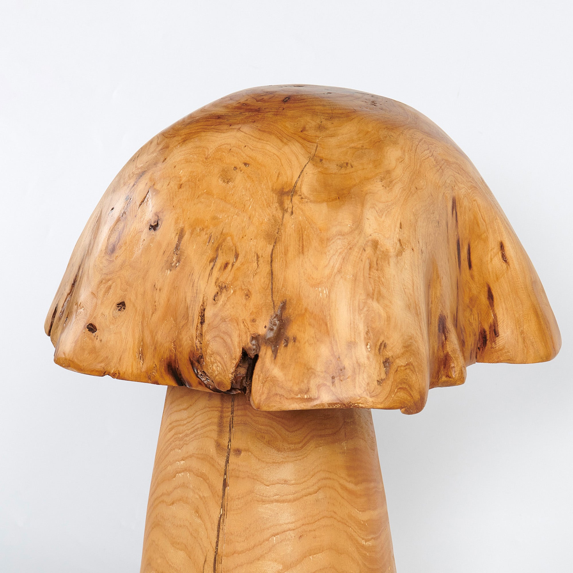 Cedar Wood Stump Mushroom Decor