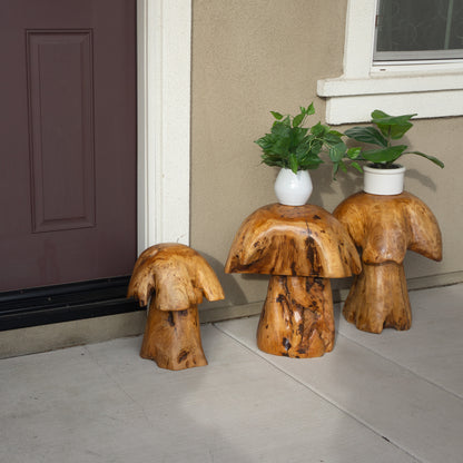 Cedar Wood Stump Mushroom Decor