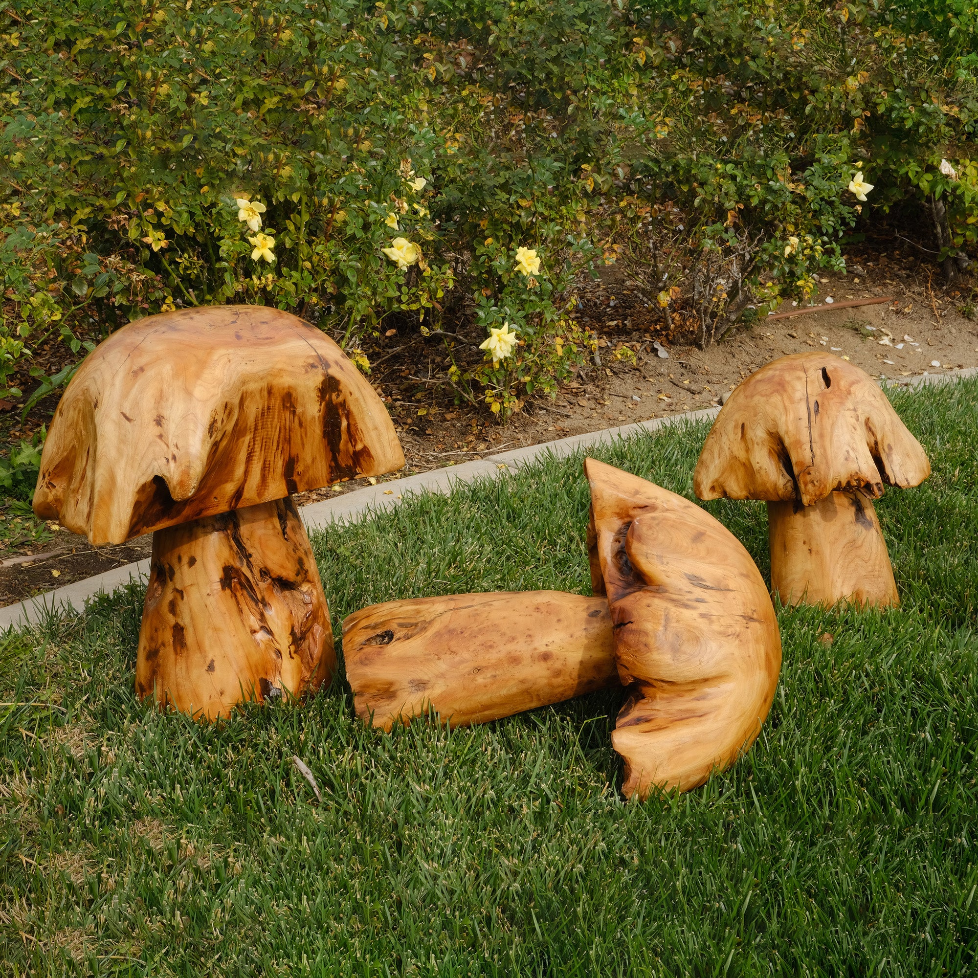 Cedar Wood Stump Mushroom Decor