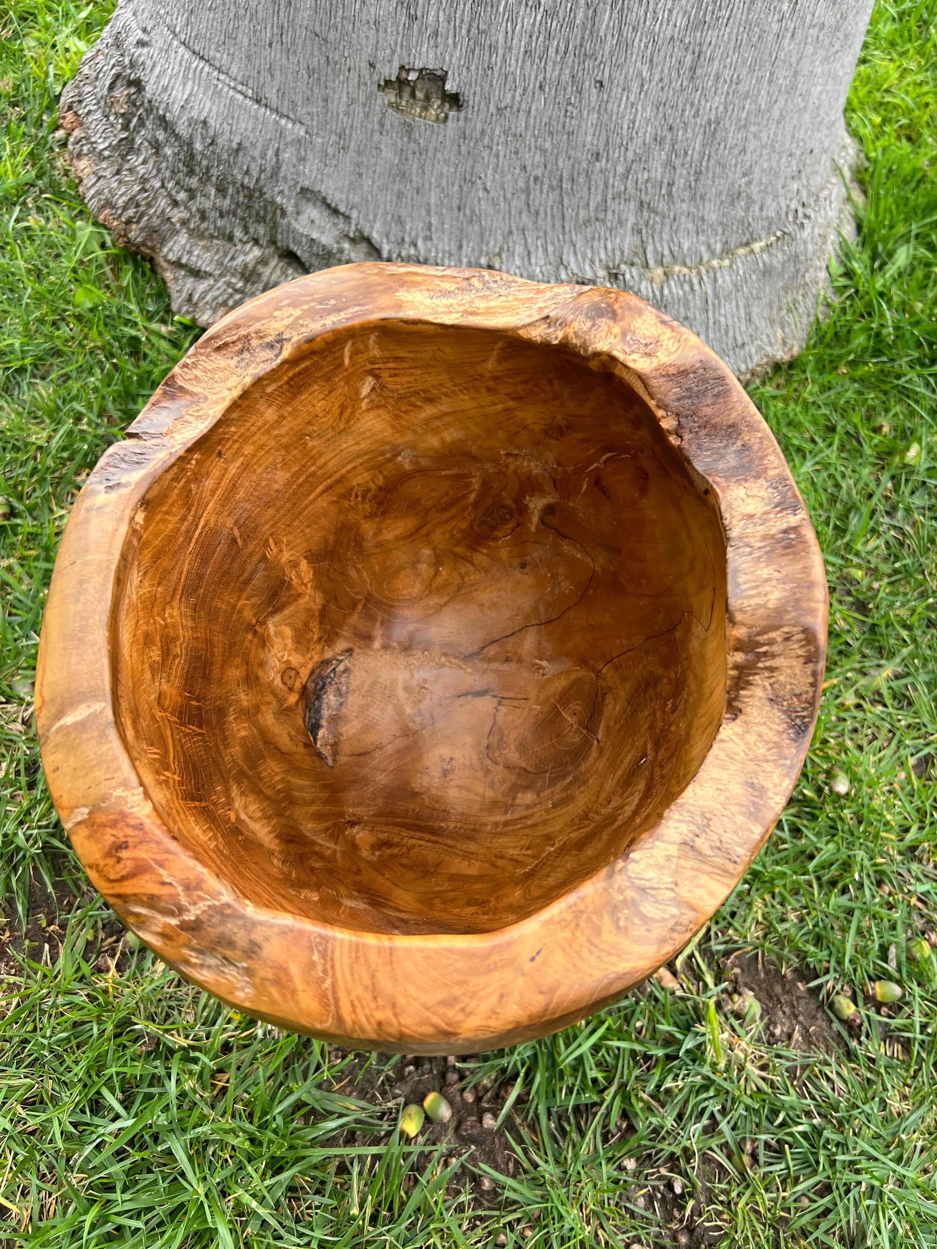 Cuenco y jarrón Bahama de madera de teca grande - 10.2&quot; x 10.2&quot; x 11.8&quot; 