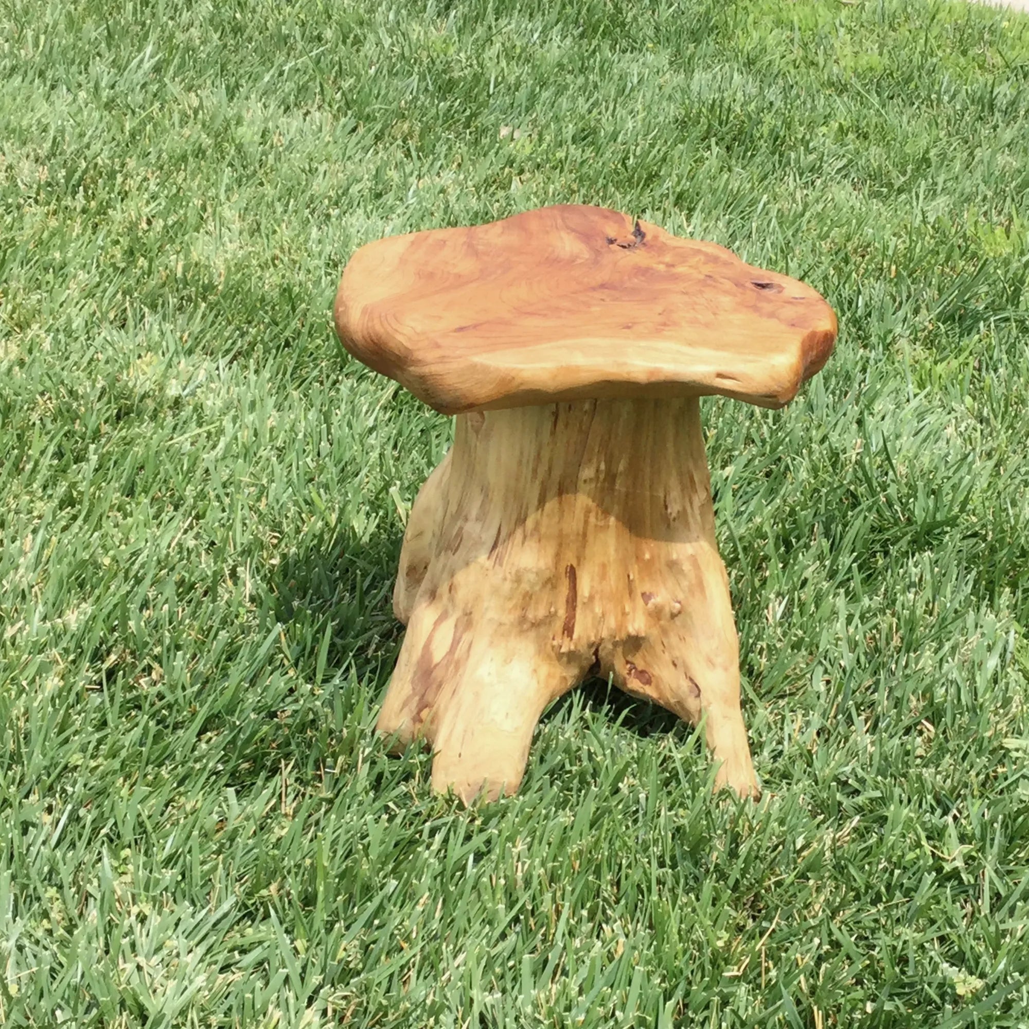 Cedar Wood Mushroom End Table (12&quot; x 15&quot; x 13.5&quot;)