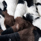 Cows Flowers Faux Fur Large Size Bedrest Pillow Cover